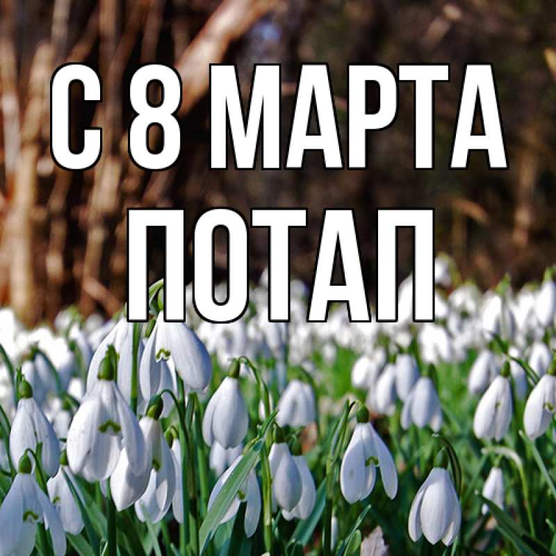 Картинка C 8 МАРТА, Потап