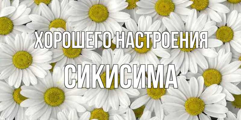 Картинка Хорошего настроения, Сикисима