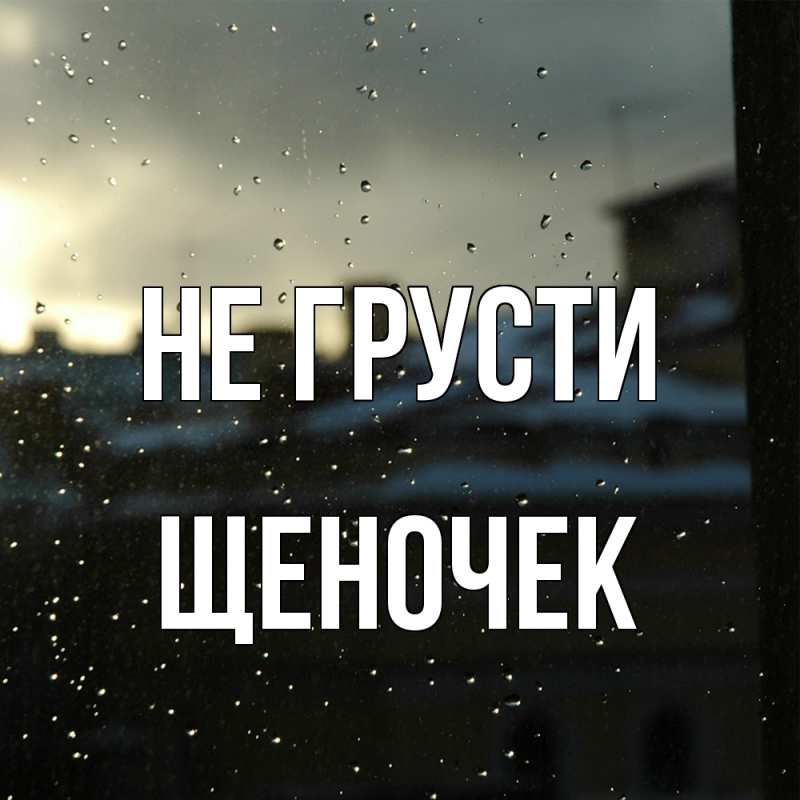 Картинка Не грусти, Щеночек