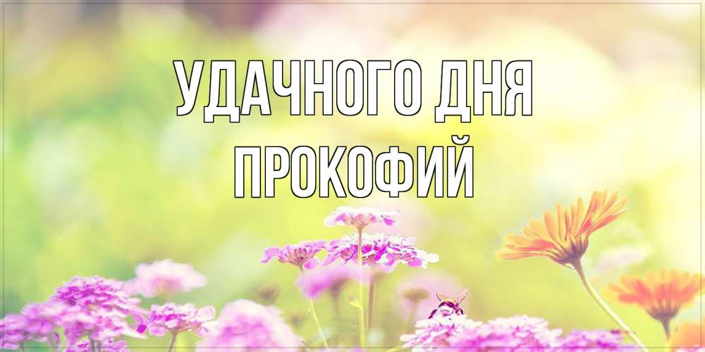 Открытка на каждый день с именем, Прокофий Удачного дня красивая открытка с летней темой Прикольная открытка с пожеланием онлайн скачать бесплатно 