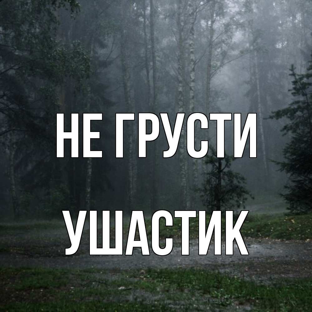 Открытка на каждый день с именем, Ушастик Не грусти осень Прикольная открытка с пожеланием онлайн скачать бесплатно 
