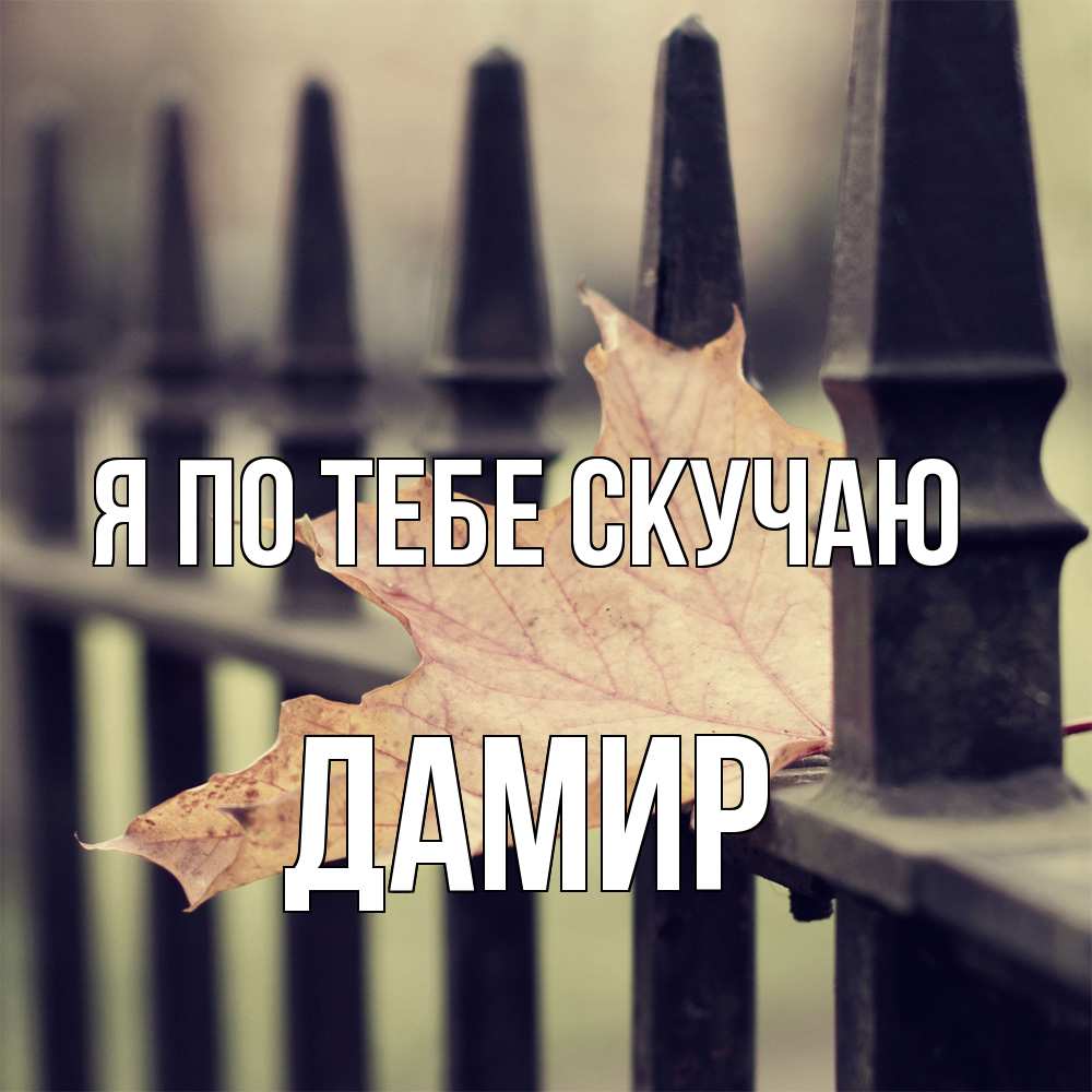 Открытка на каждый день с именем, Дамир Я по тебе скучаю очень скучно Прикольная открытка с пожеланием онлайн скачать бесплатно 