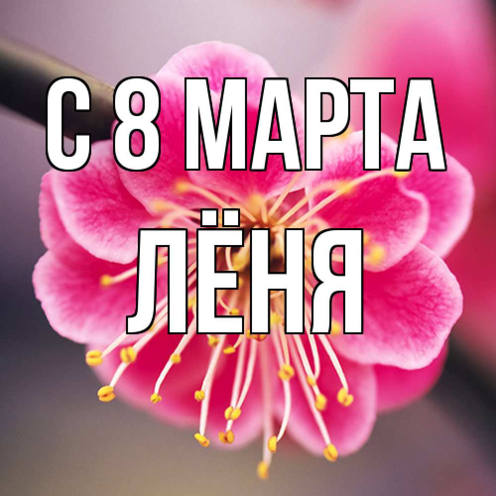 Открытка на каждый день с именем, Лёня C 8 МАРТА цветы Прикольная открытка с пожеланием онлайн скачать бесплатно 