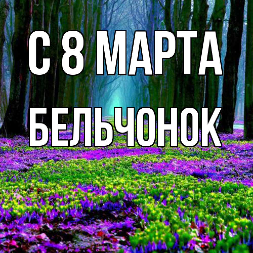 Открытка на каждый день с именем, бельчонок C 8 МАРТА фиолетовые цветы в лесу 1 Прикольная открытка с пожеланием онлайн скачать бесплатно 