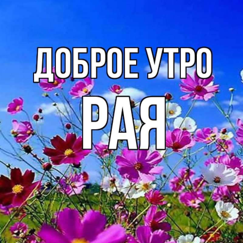 Картинка Доброе утро, Рая