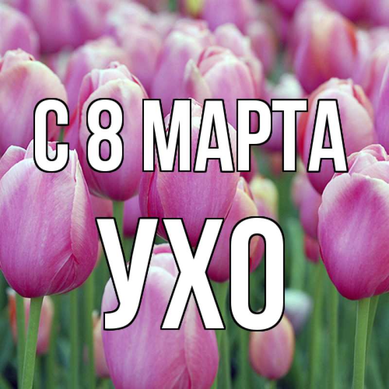 Картинка C 8 МАРТА, Ухо