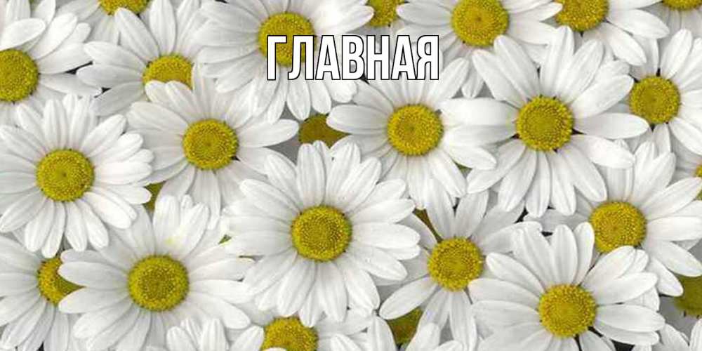 Открытка на каждый день с именем, Анна Главная поляна ромашек Прикольная открытка с пожеланием онлайн скачать бесплатно 