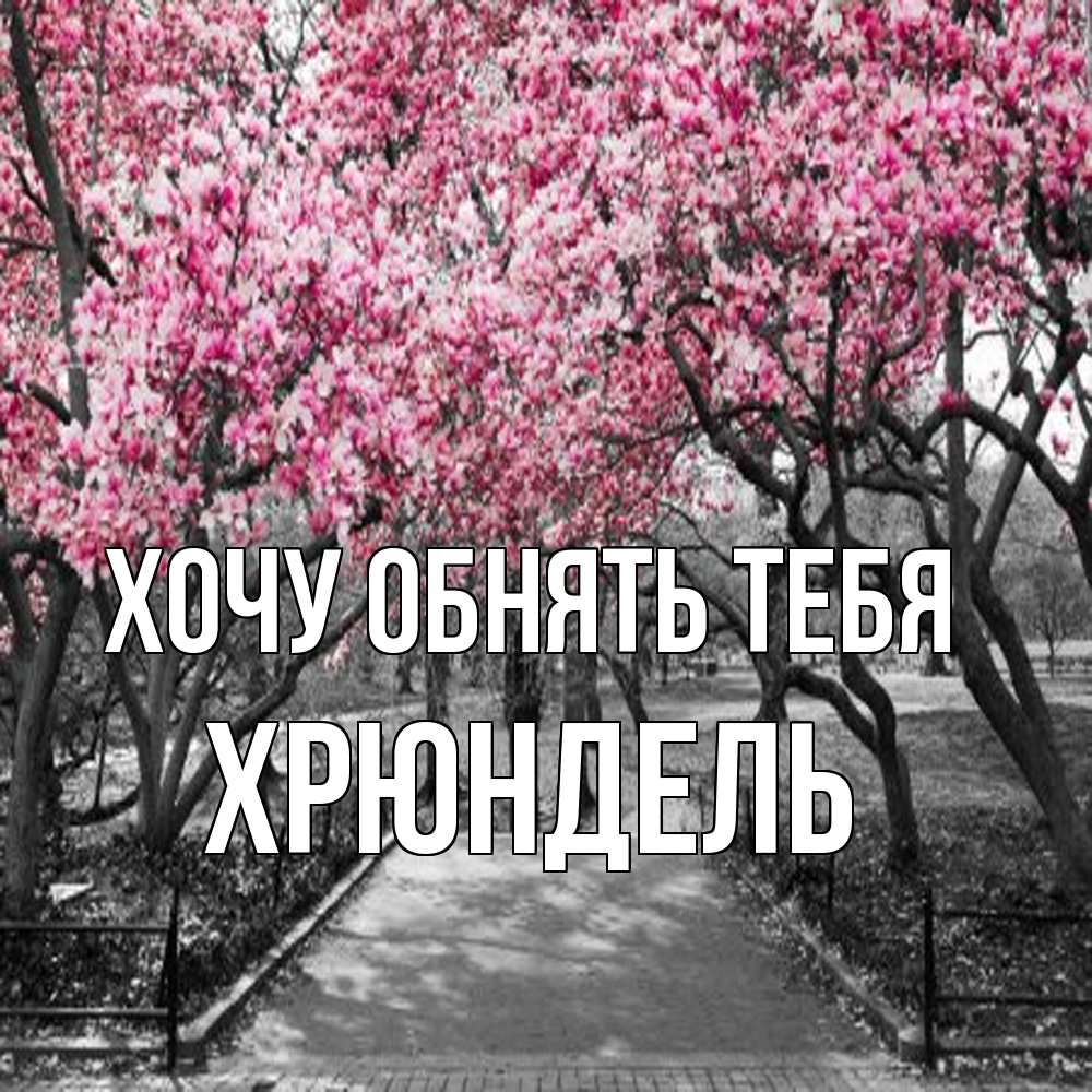 Открытка на каждый день с именем, Хрюндель Хочу обнять тебя обработанное фото Прикольная открытка с пожеланием онлайн скачать бесплатно 