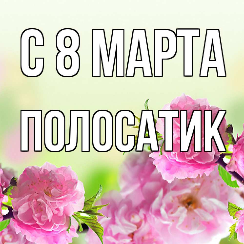 Открытка на каждый день с именем, полосатик C 8 МАРТА цветы Прикольная открытка с пожеланием онлайн скачать бесплатно 