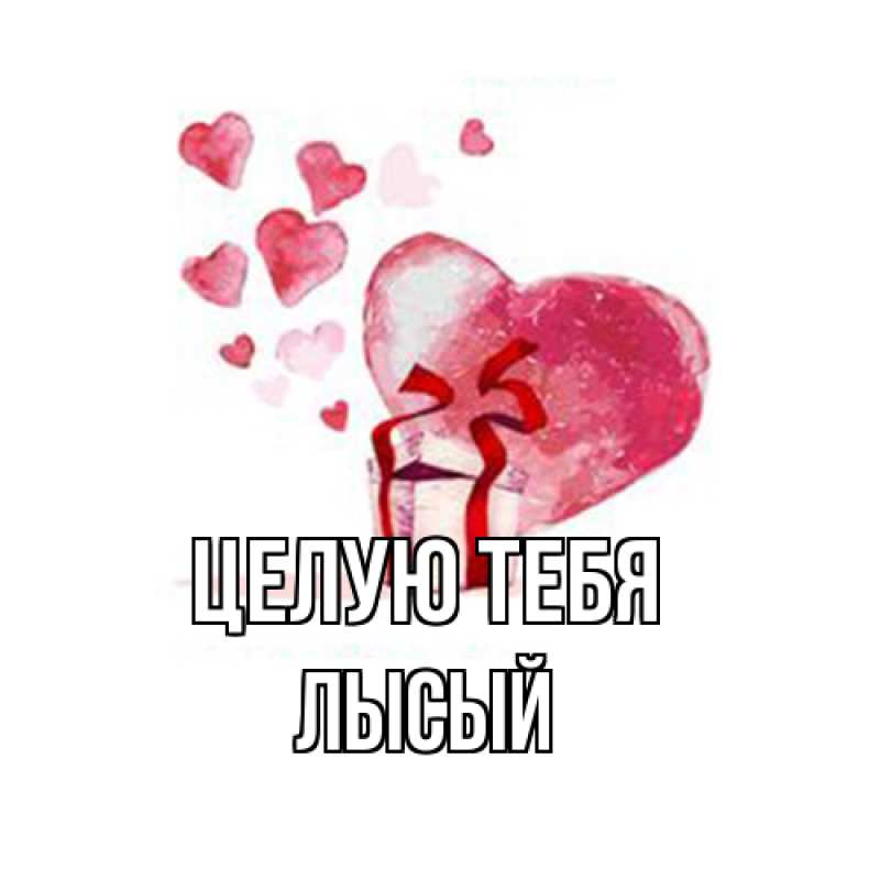 Картинка Целую тебя, Лысый