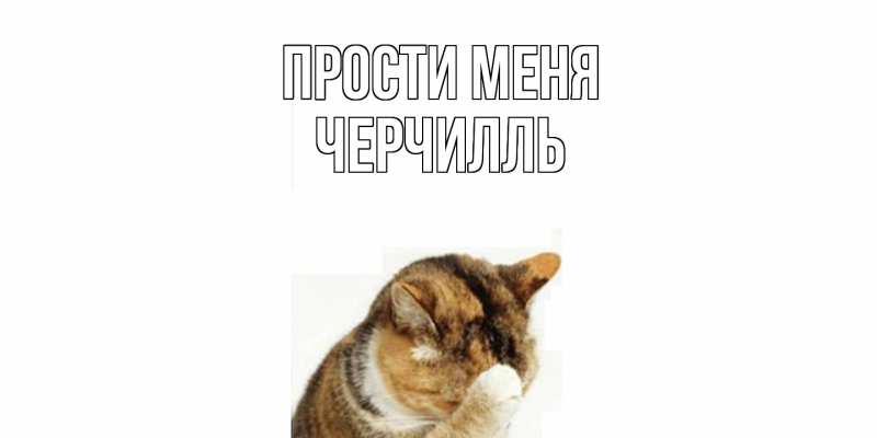 Картинка Прости меня, Черчилль