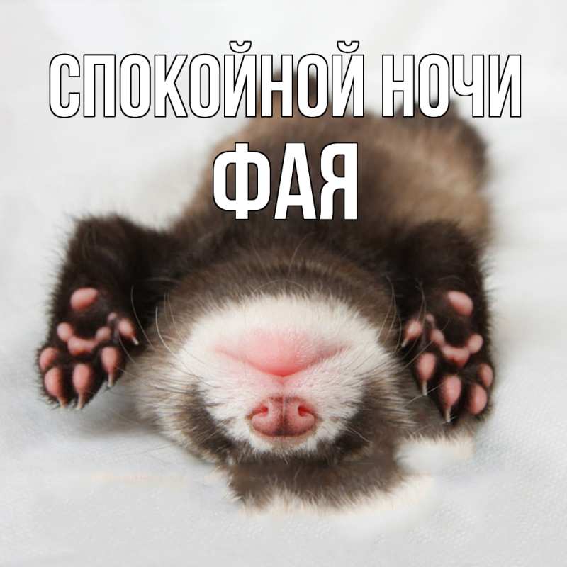 Картинка Спокойной ночи, Фая