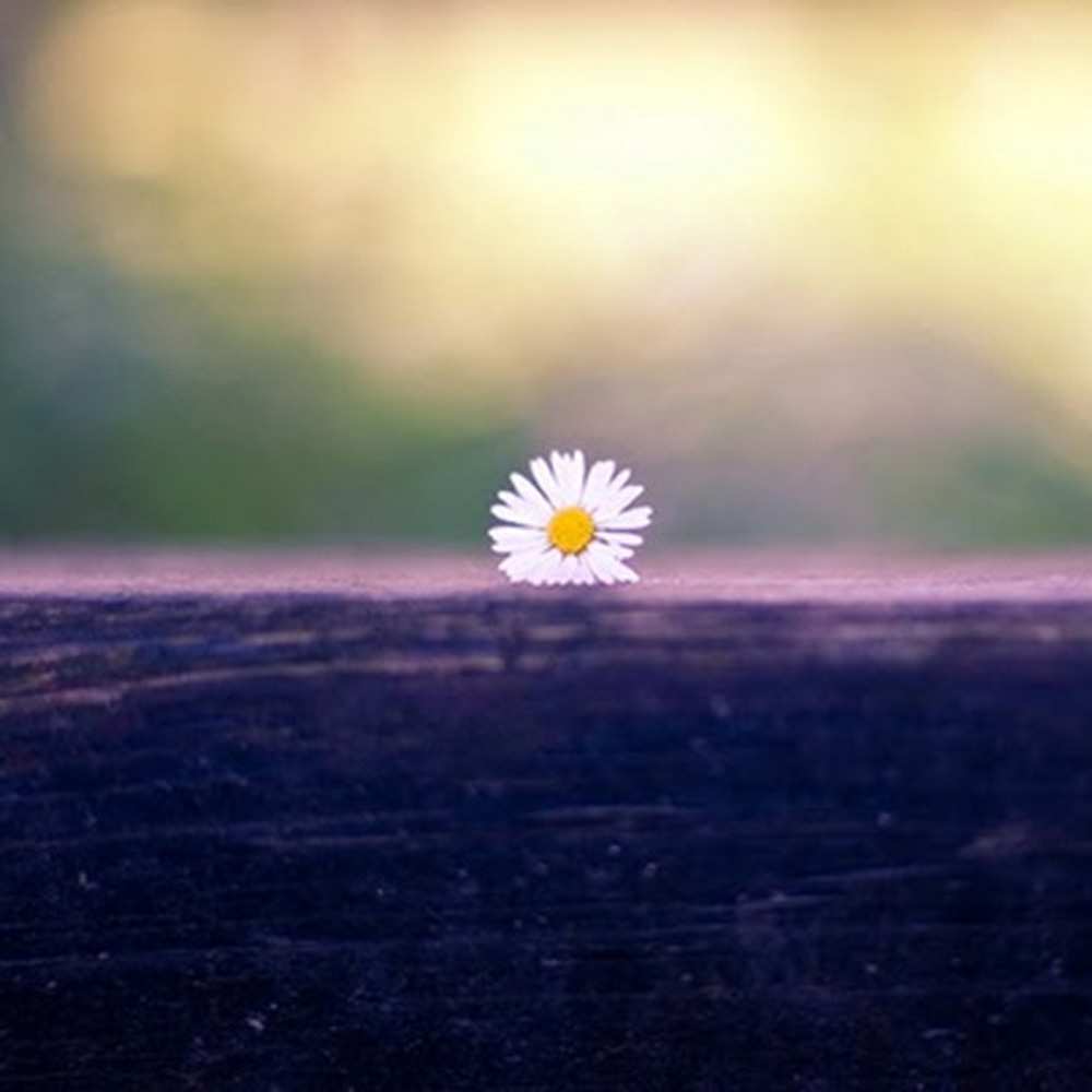 Открытка на каждый день с именем, Дымок Я по тебе скучаю приходи в гости Прикольная открытка с пожеланием онлайн скачать бесплатно 