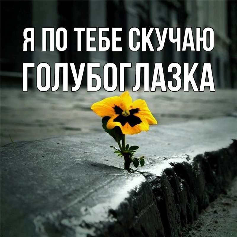 Картинка Я по тебе скучаю, Голубоглазка