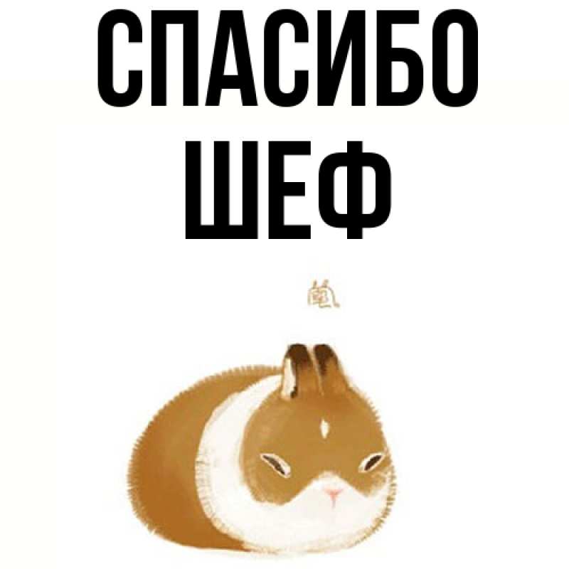 Картинка Спасибо, Шеф