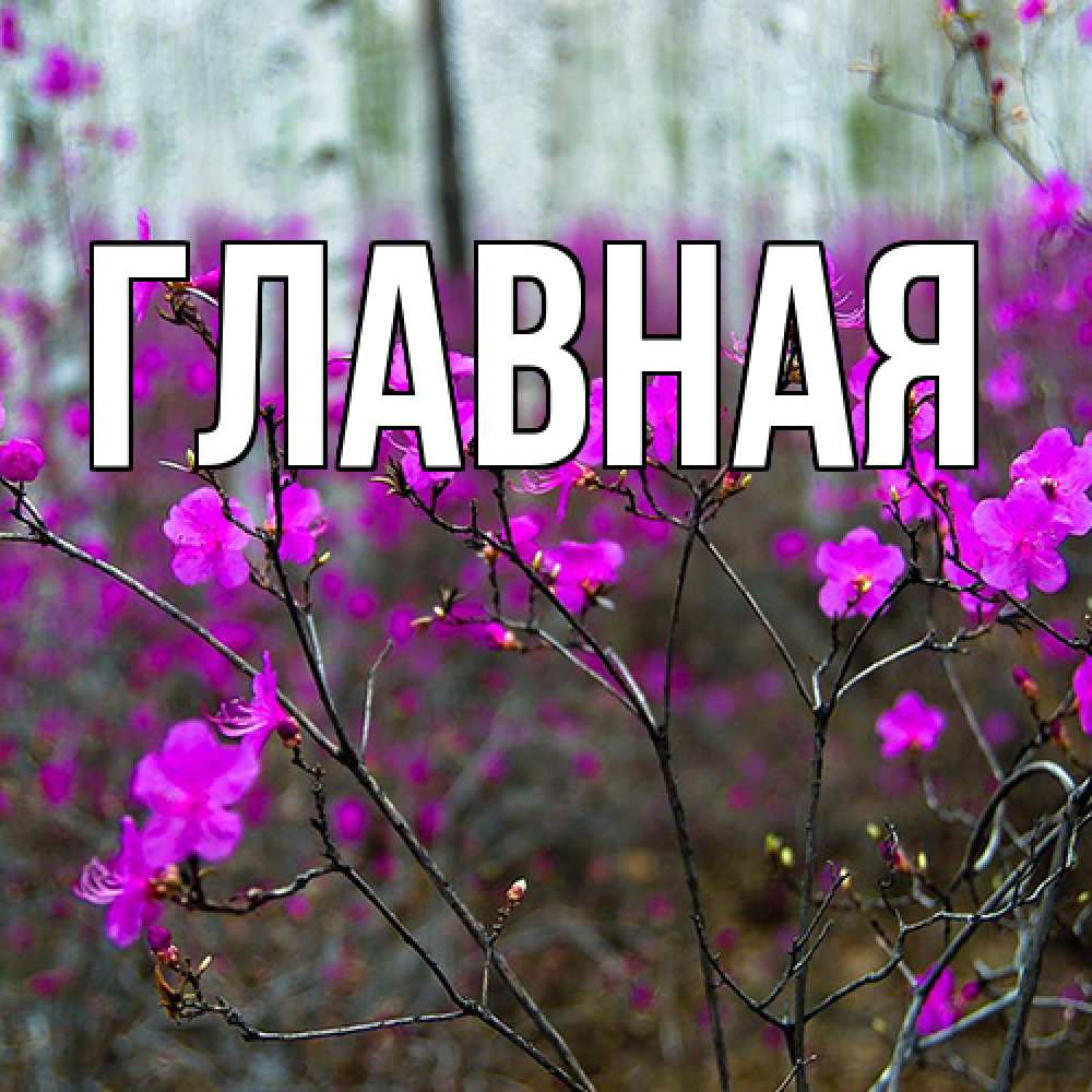 Открытка на каждый день с именем, Анна Главная дикие цветы Прикольная открытка с пожеланием онлайн скачать бесплатно 