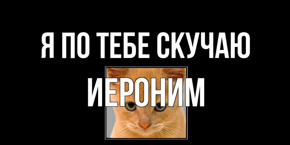 Открытка на каждый день с именем, Иероним Я по тебе скучаю открытки рыжий котенок скучает по тебе Прикольная открытка с пожеланием онлайн скачать бесплатно 
