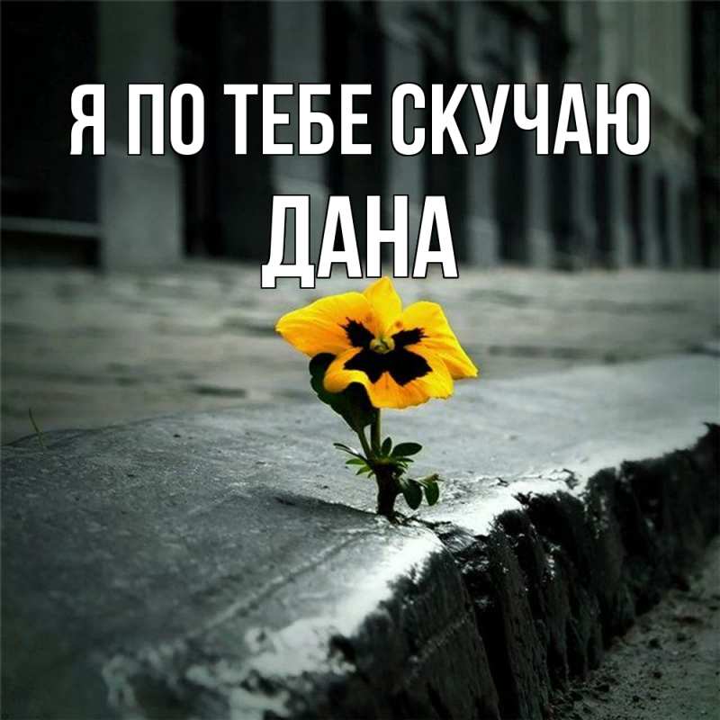 Картинка Я по тебе скучаю, Дана