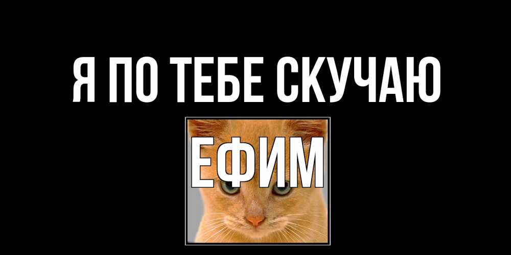 Открытка на каждый день с именем, Ефим Я по тебе скучаю открытки рыжий котенок скучает по тебе Прикольная открытка с пожеланием онлайн скачать бесплатно 