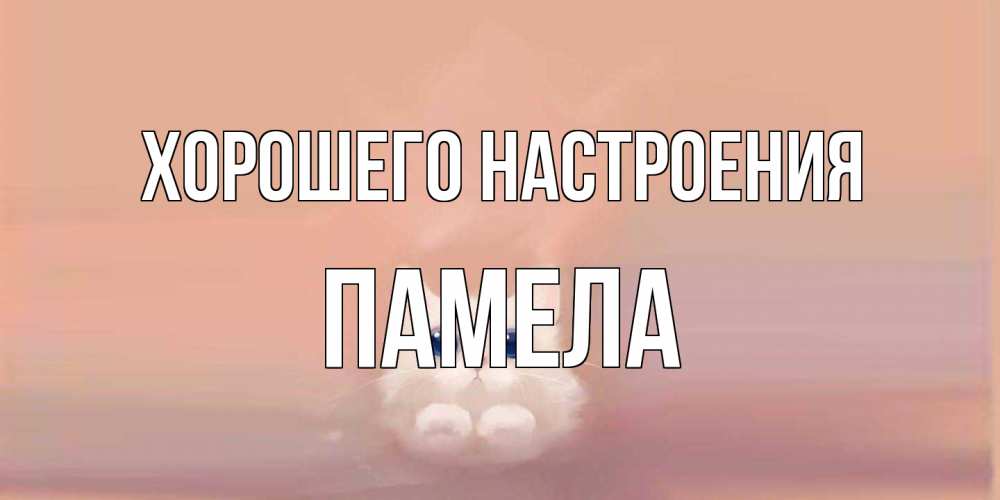 Открытка на каждый день с именем, Памела Хорошего настроения кошка Прикольная открытка с пожеланием онлайн скачать бесплатно 