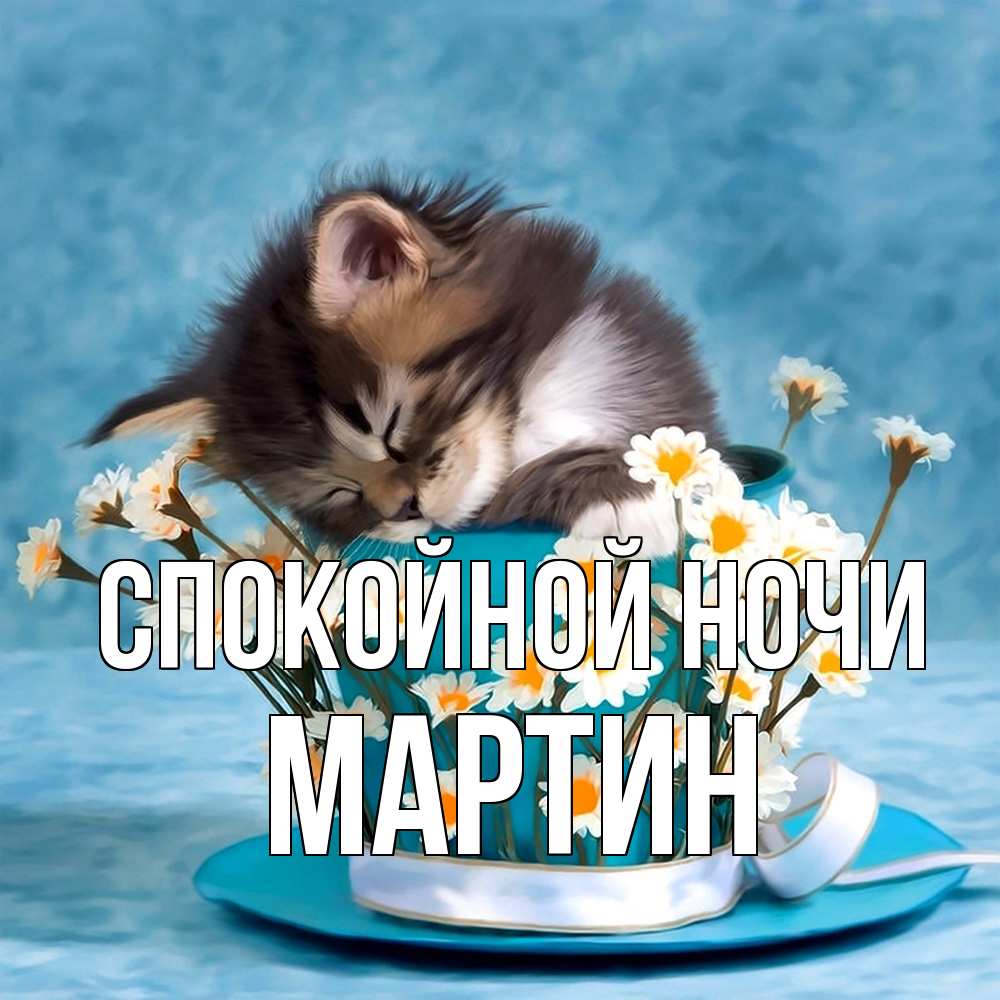 Открытка на каждый день с именем, Мартин Спокойной ночи котенок спит в кружке с блюдцем Прикольная открытка с пожеланием онлайн скачать бесплатно 