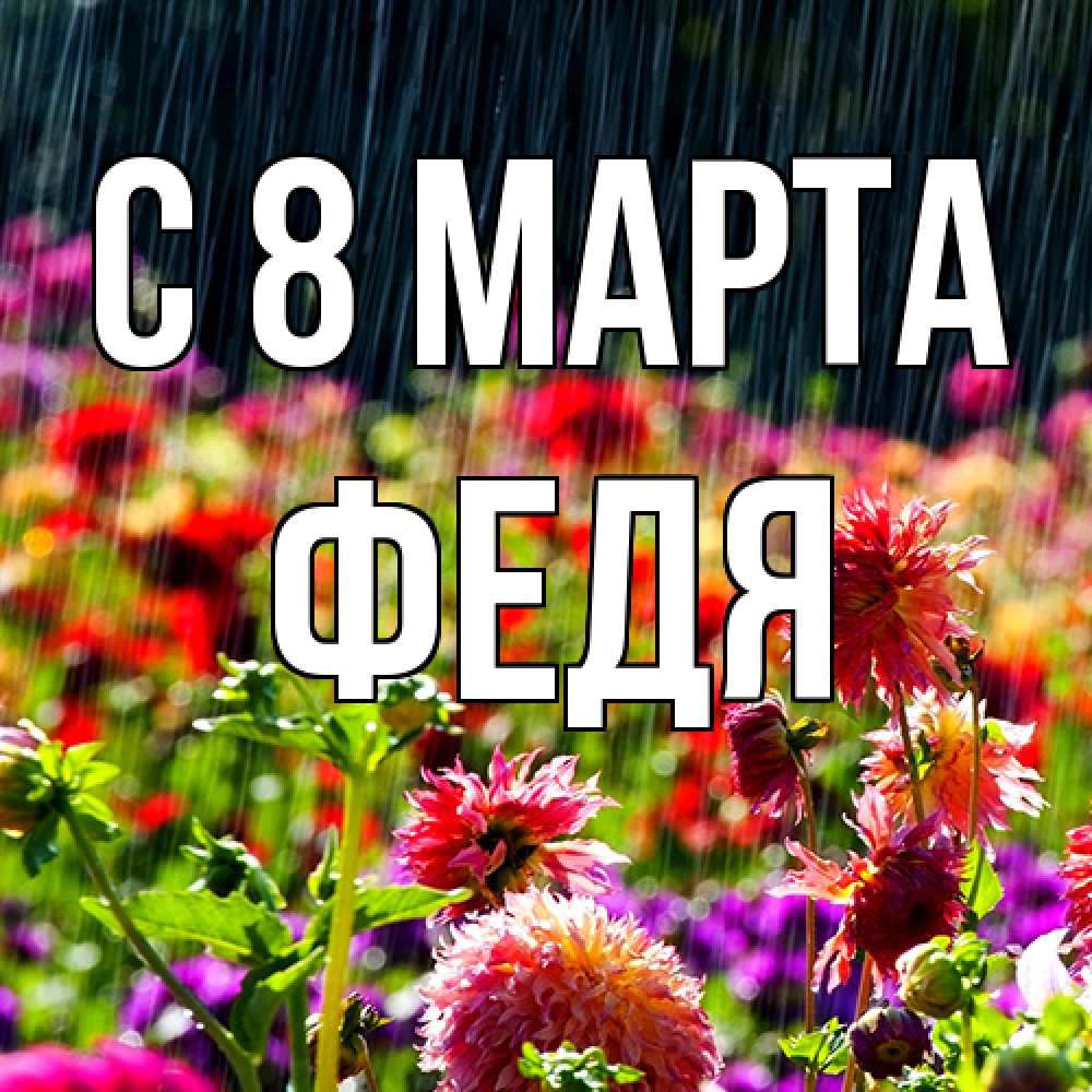 Открытка на каждый день с именем, Федя C 8 МАРТА цветы под дождиком к международному женскому дню Прикольная открытка с пожеланием онлайн скачать бесплатно 