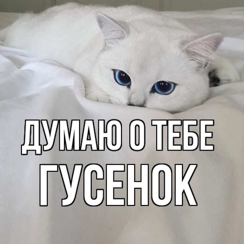 Картинка Думаю о тебе, гусенок