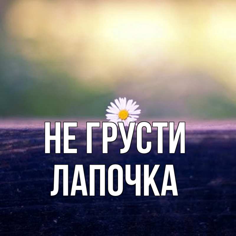 Картинка Не грусти, лапочка