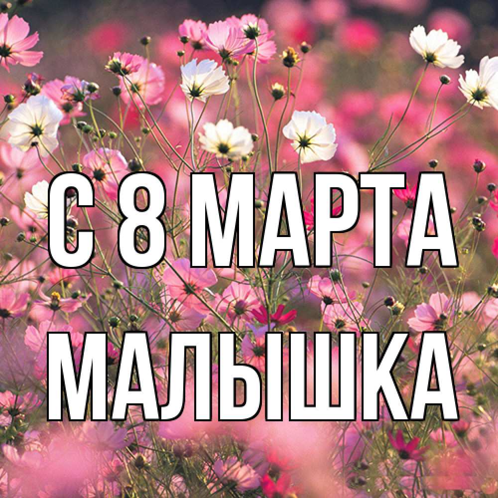 Открытка на каждый день с именем, малышка C 8 МАРТА красиво 1 Прикольная открытка с пожеланием онлайн скачать бесплатно 