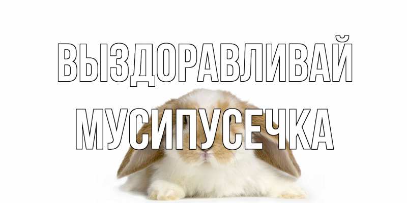 Картинка Выздоравливай, Мусипусечка