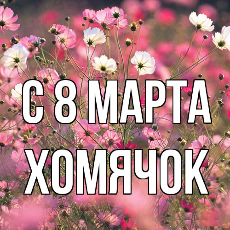 Картинка C 8 МАРТА, Хомячок