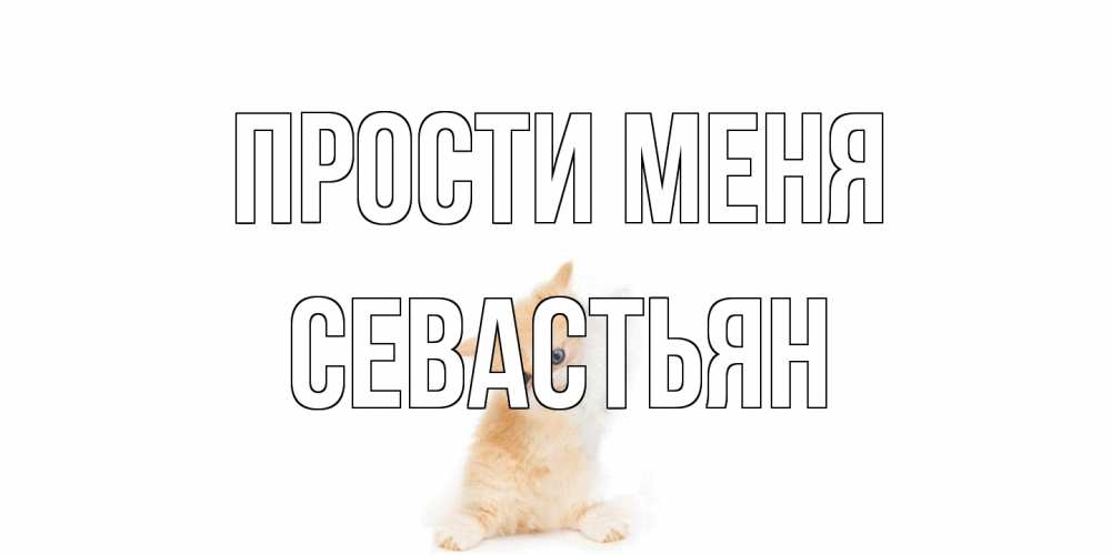 Открытка на каждый день с именем, Севастьян Прости меня кот Прикольная открытка с пожеланием онлайн скачать бесплатно 