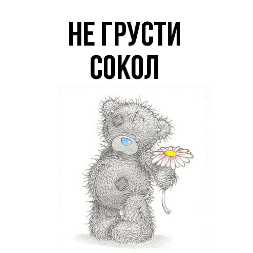Открытка на каждый день с именем, Сокол Не грусти Плюшевый медвежонок с заплатками Прикольная открытка с пожеланием онлайн скачать бесплатно 