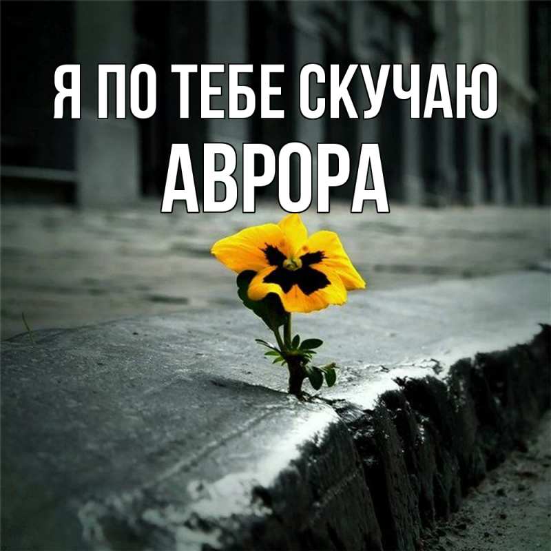Картинка Я по тебе скучаю, Аврора
