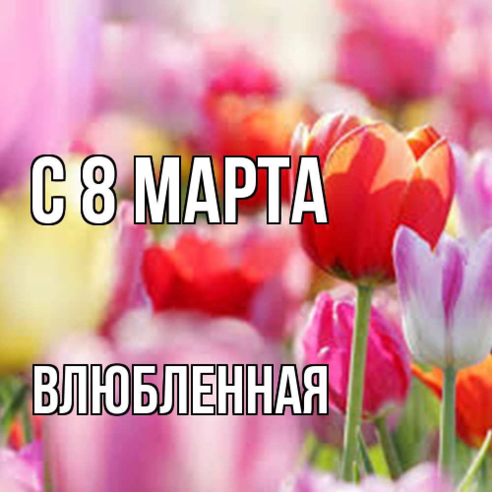 Открытка на каждый день с именем, Влюбленная C 8 МАРТА на международный женский день 2 Прикольная открытка с пожеланием онлайн скачать бесплатно 
