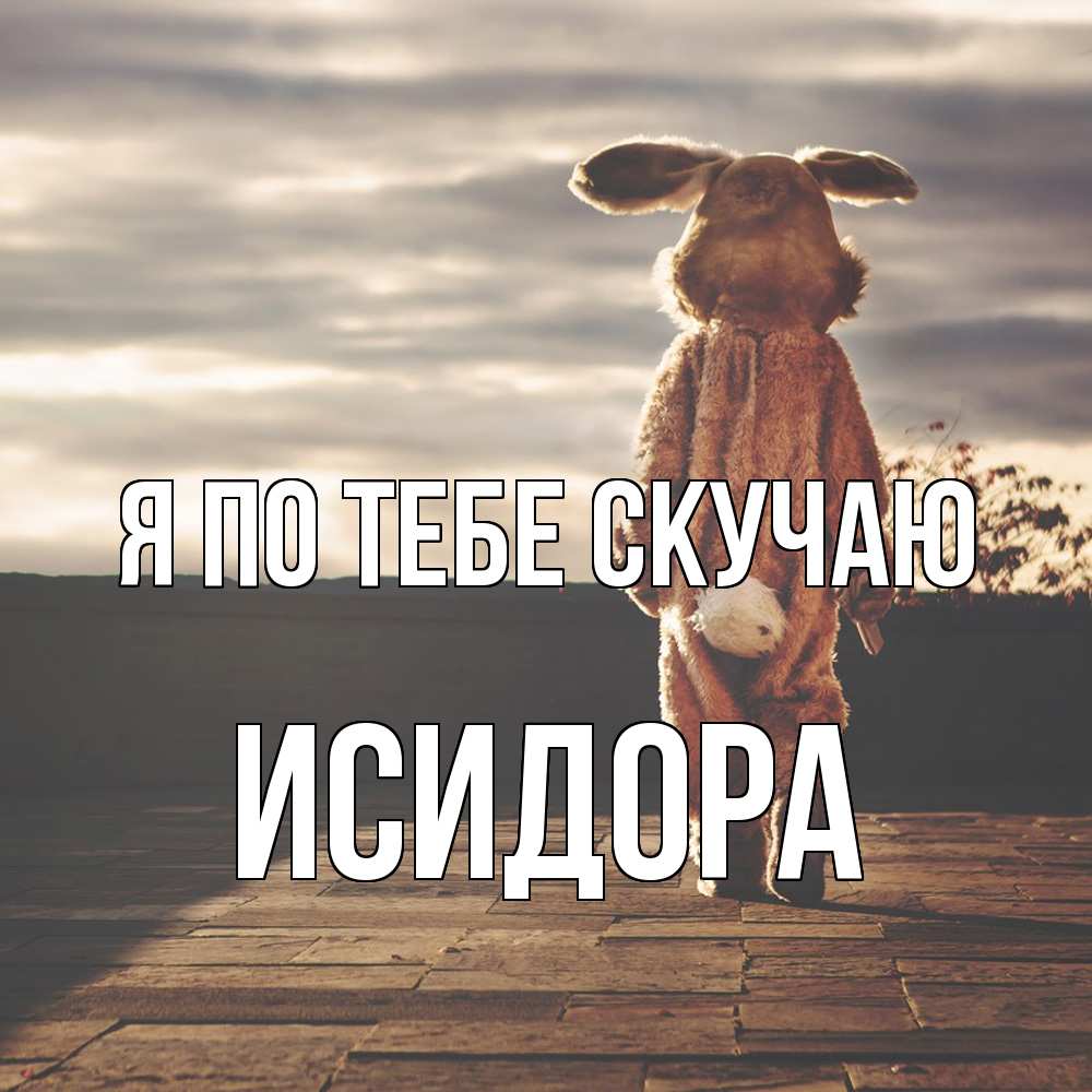 Открытка на каждый день с именем, Исидора Я по тебе скучаю даже в костюме зайца Прикольная открытка с пожеланием онлайн скачать бесплатно 