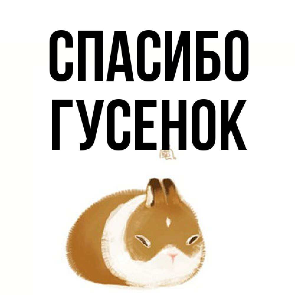 Открытка на каждый день с именем, гусенок Спасибо коричнево белый домашний питомец Прикольная открытка с пожеланием онлайн скачать бесплатно 