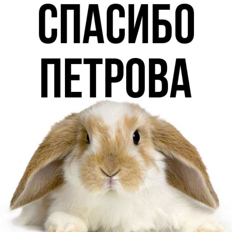Картинка Спасибо, Петрова