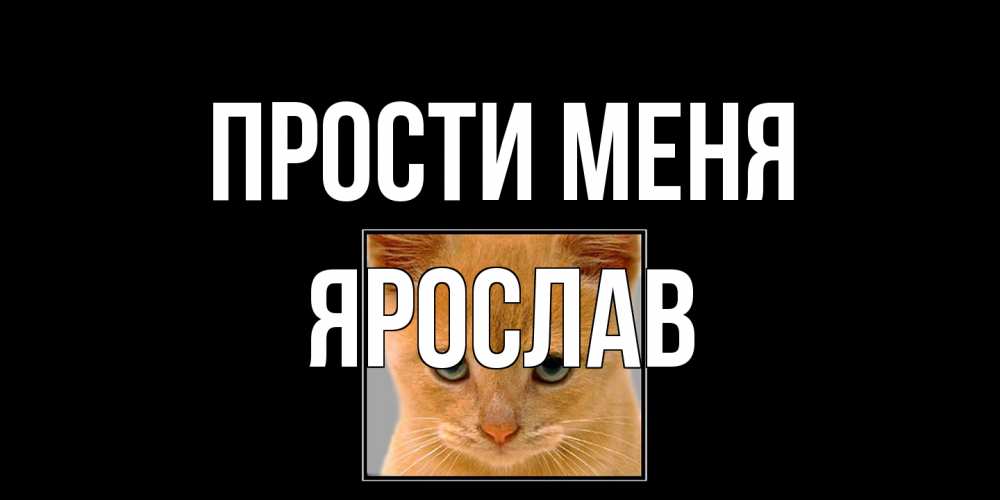 Открытка на каждый день с именем, Ярослав Прости меня рыжий грустный кот просит прощения Прикольная открытка с пожеланием онлайн скачать бесплатно 
