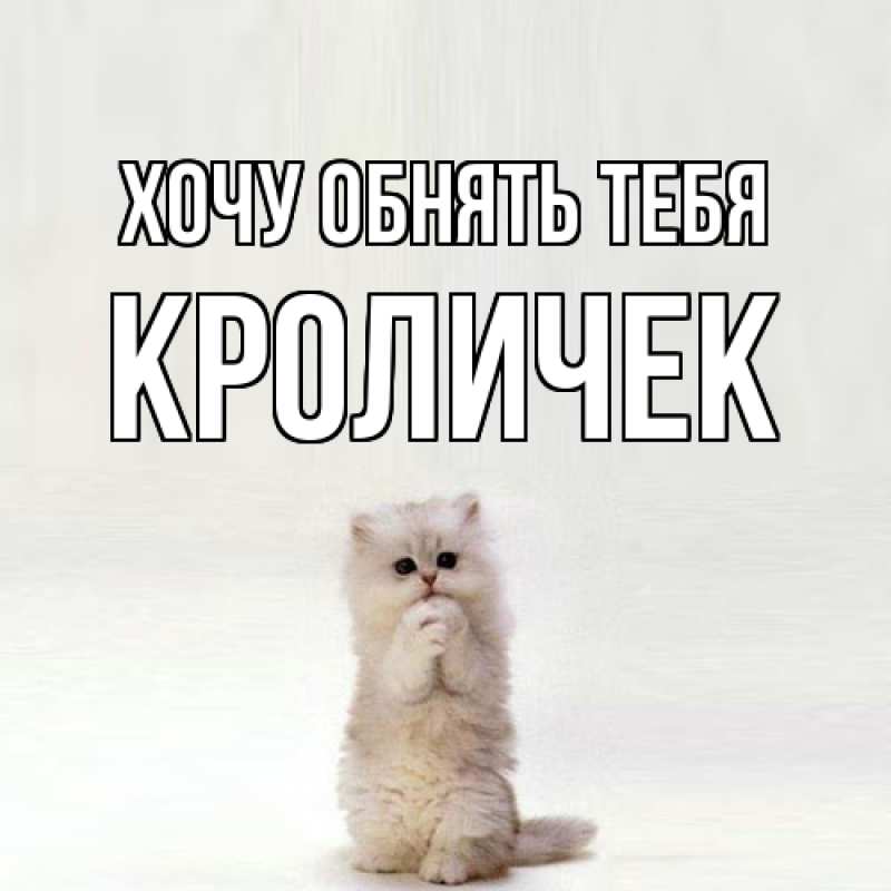 Картинка Хочу обнять тебя, кроличек