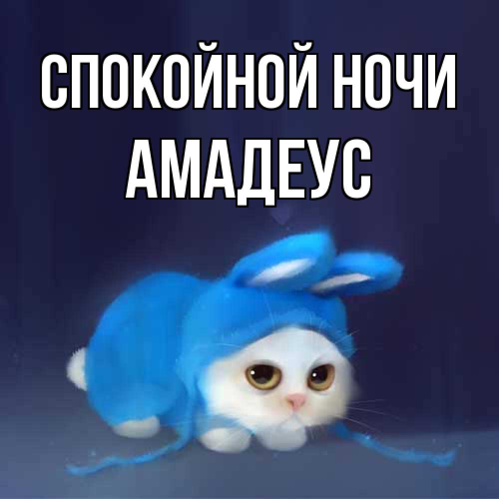 Открытка на каждый день с именем, Амадеус Спокойной ночи кот в голубом костюме кролика с ушками Прикольная открытка с пожеланием онлайн скачать бесплатно 
