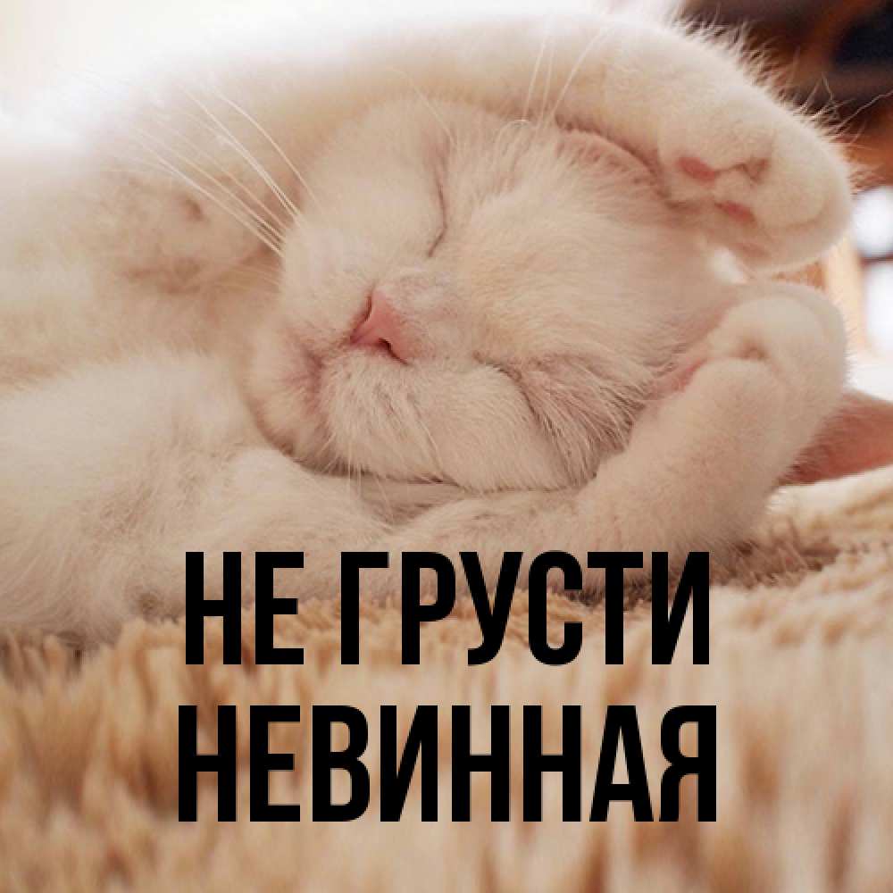 Открытка на каждый день с именем, невинная Не грусти Котенок спит Прикольная открытка с пожеланием онлайн скачать бесплатно 