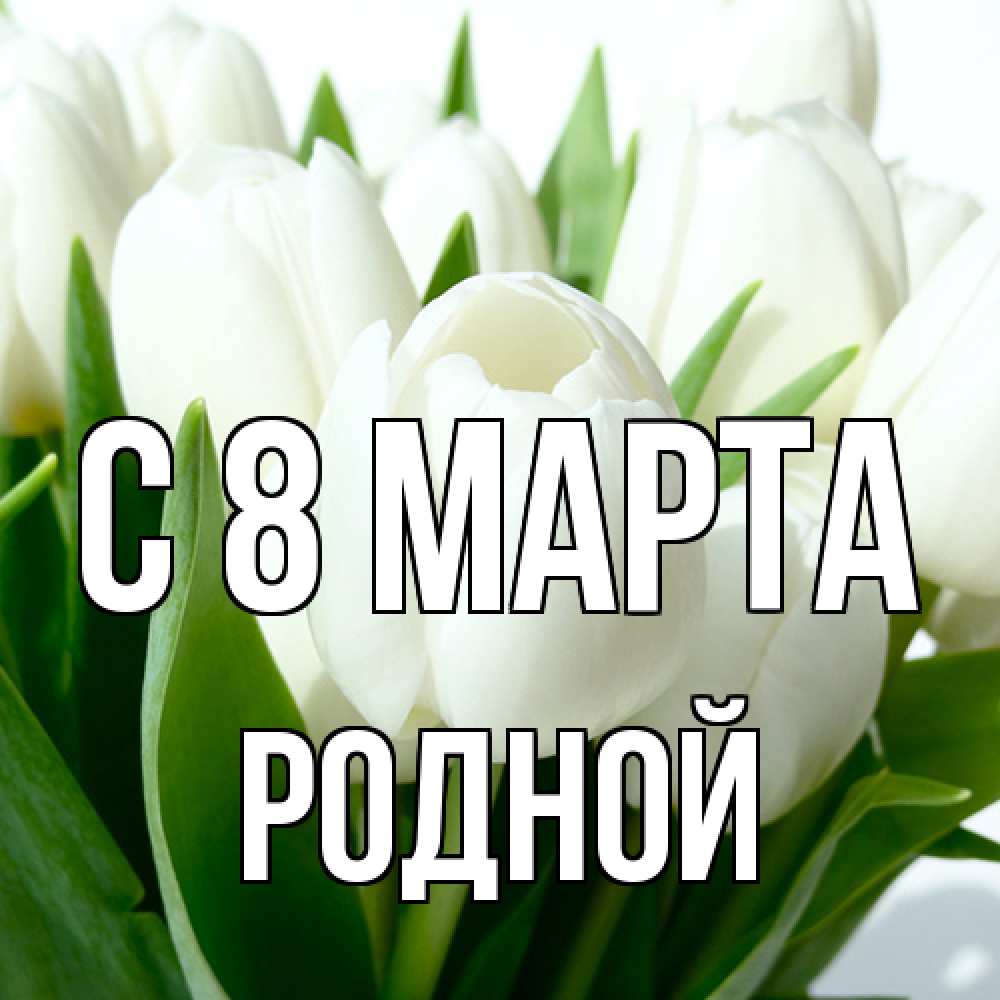 Открытка на каждый день с именем, Родной C 8 МАРТА цветы Прикольная открытка с пожеланием онлайн скачать бесплатно 