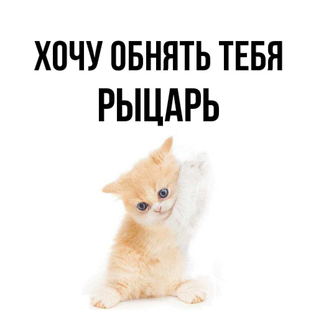 Открытка на каждый день с именем, Рыцарь Хочу обнять тебя я хочу очень скорее обнимаешек Прикольная открытка с пожеланием онлайн скачать бесплатно 