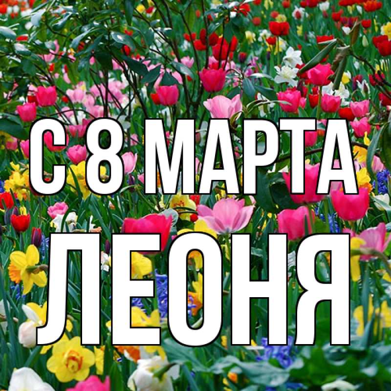 Картинка C 8 МАРТА, Леоня