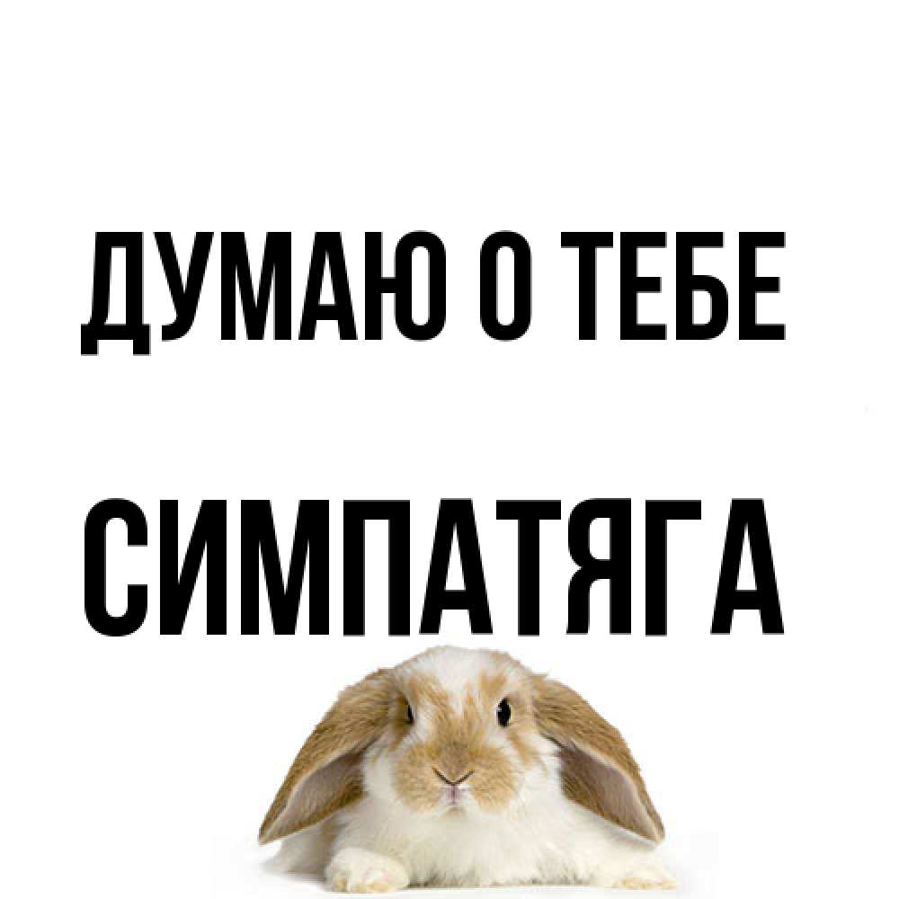 Открытка на каждый день с именем, Симпатяга Думаю о тебе подписать своими руками онлайн Прикольная открытка с пожеланием онлайн скачать бесплатно 