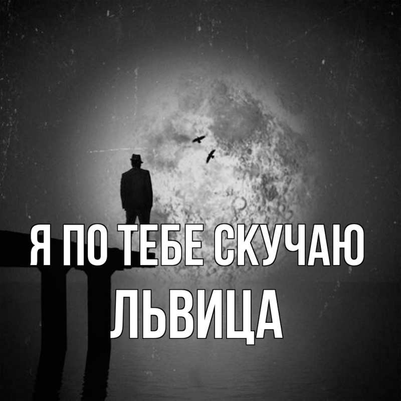 Картинка Я по тебе скучаю, Львица