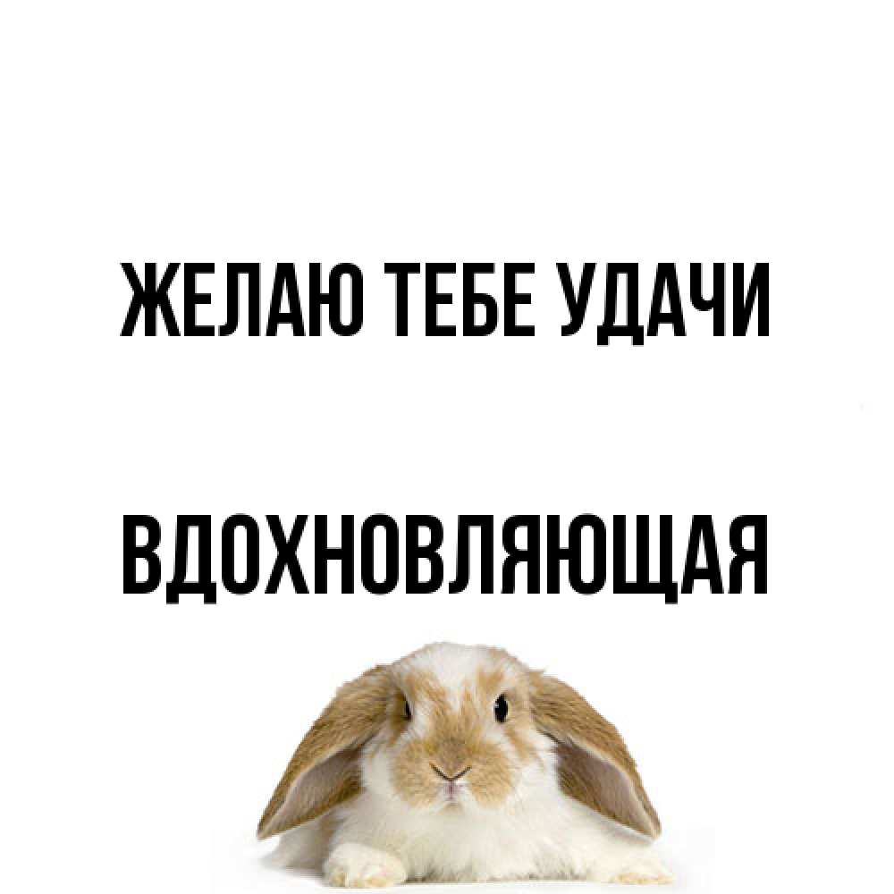 Открытка на каждый день с именем, вдохновляющая Желаю тебе удачи открытки с произвольным текстом который можно вставить в открытку и создать ее самостоятельно бесплатно онлайн Прикольная открытка с пожеланием онлайн скачать бесплатно 