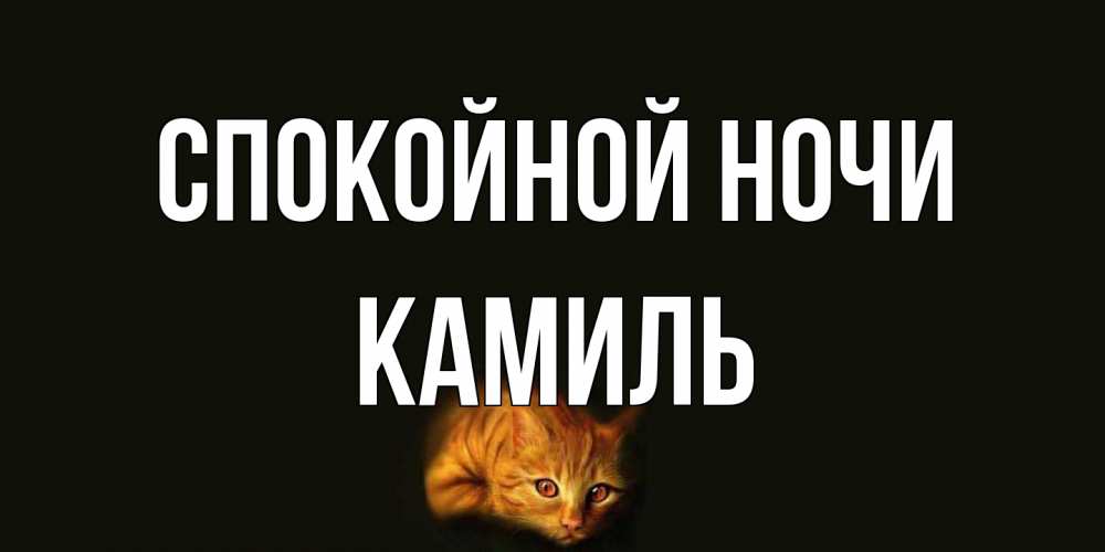 Открытка на каждый день с именем, Камиль Спокойной ночи кот Прикольная открытка с пожеланием онлайн скачать бесплатно 