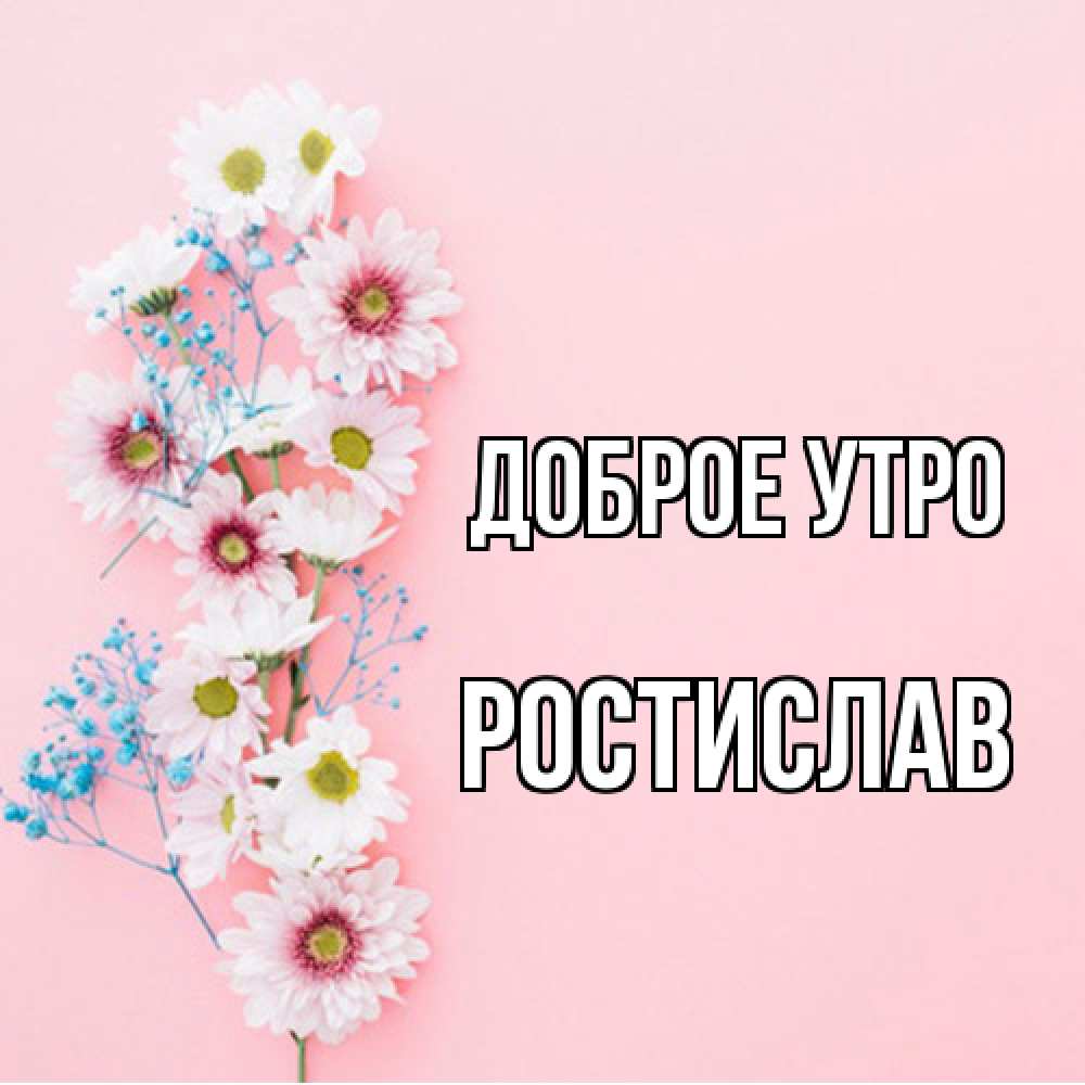 Открытка на каждый день с именем, Ростислав Доброе утро цветы с подписью Прикольная открытка с пожеланием онлайн скачать бесплатно 